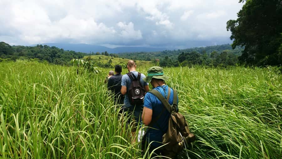 From Bangkok: Khao Yai National Park Jungle Trek with Lunch - Pickup zones, van comfort, and how the day actually starts
