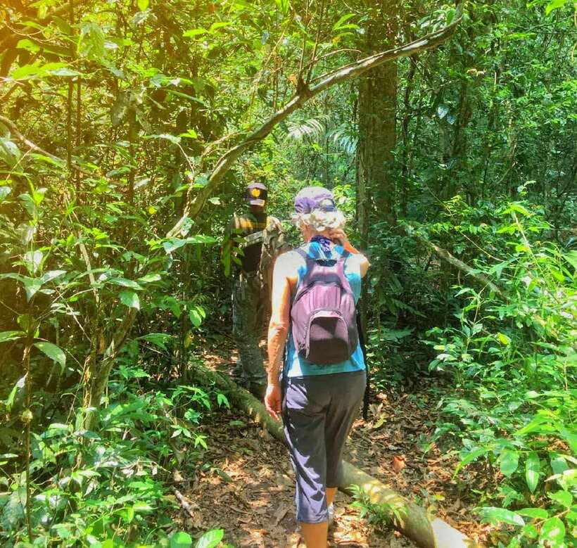 From Bangkok: Khao Yai National Park Small-Group Day Trip - The KM 33 Nong Phak Chi Nature Trail hike and observation tower