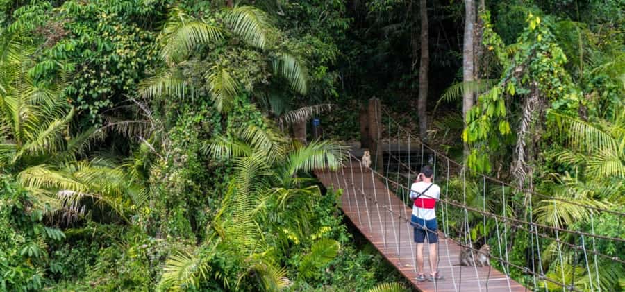 From Bangkok: Khao Yai Private Charter with Multiple Options - Key points to know before you go
