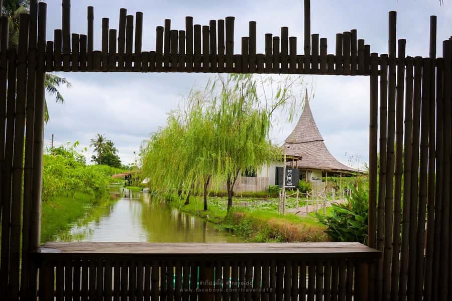 From Bangkok: Mahasawat Canal and farm with Lunch - Orchid Farm for Export Blooms, Plus Buying Tips