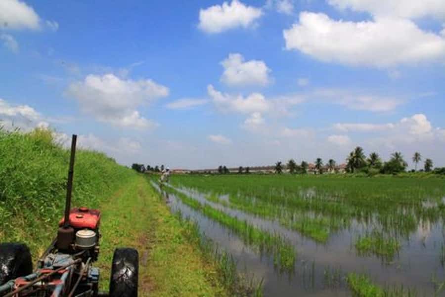From Bangkok: Mahasawat Canal and farm with Lunch - Should You Book the Mahasawat Canal and Farm with Lunch?