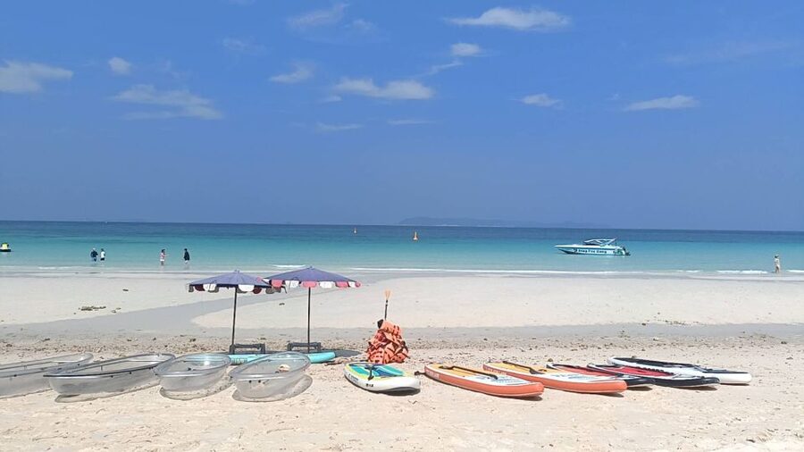 From Bangkok: Pattaya Island Trip with Drone Photos - Lunch by the sea and feeding island geese
