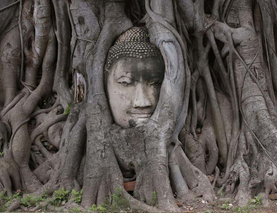 From Bangkok: Private Guided Tour of Ayutthaya’s 6 Temples - Key Things I’d Focus On