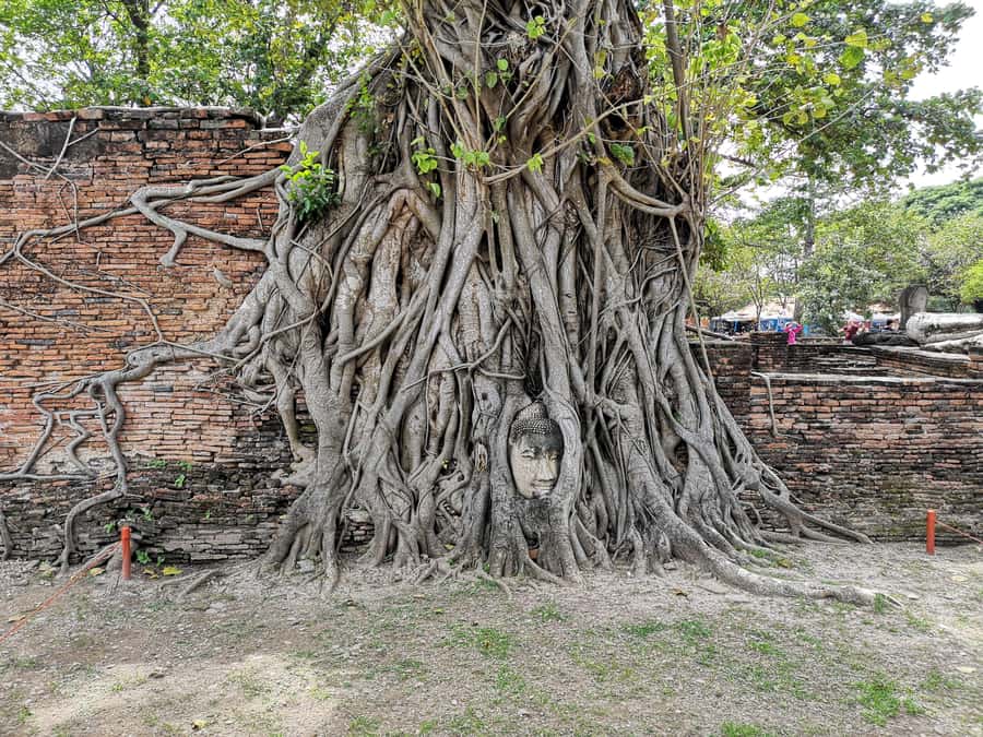 From Bangkok: Private Tour to Ayutthaya & Summer Palace - Key highlights at a glance
