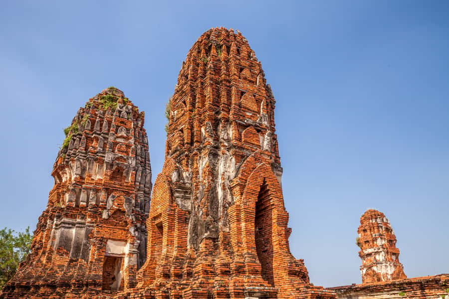 From Bangkok: Private Tour to Ayutthaya & Summer Palace - Viharn Phra Mongkol Bopit: the bronze Buddha moment