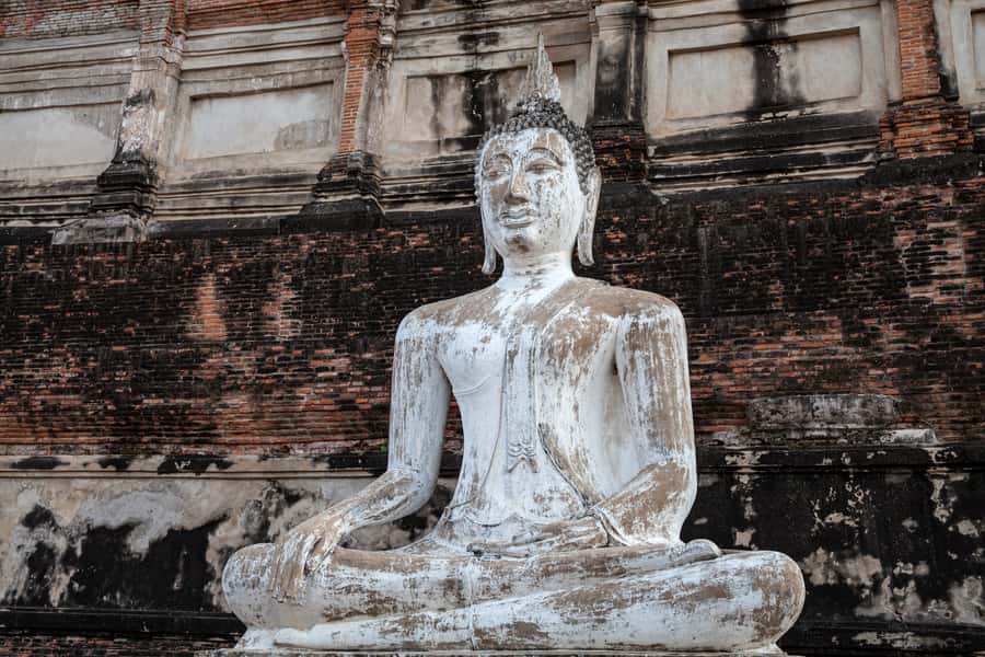 From Bangkok: Private Tour to Ayutthaya & Summer Palace - Wat Mahatat and the Buddha in the bodhi tree