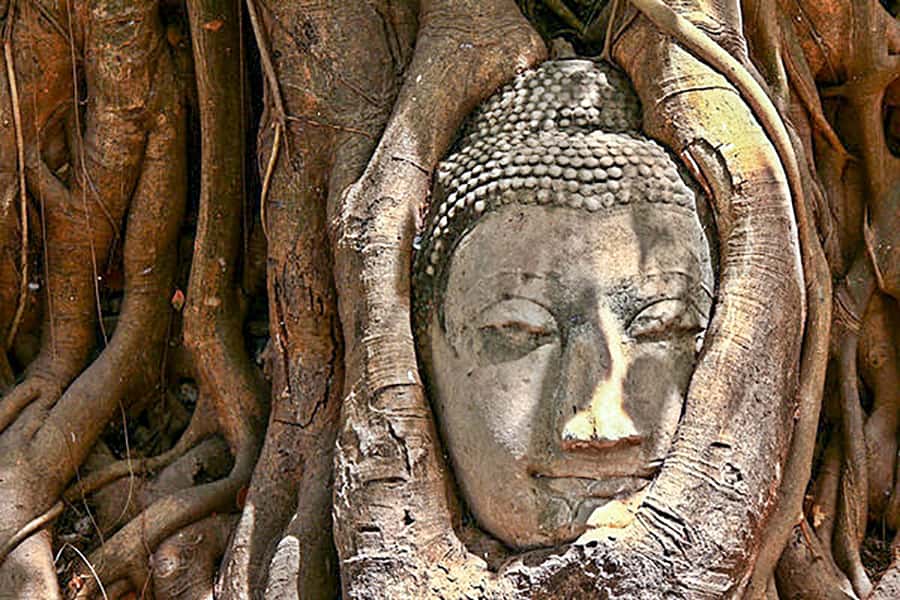 From Bangkok: Tour Ayutthaya + Lunch + Spanish guide - Bang Pa-In Royal Palace, aka the Summer Palace