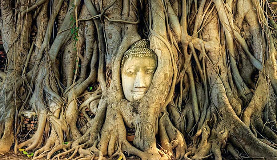 From Bangkok: Tour Ayutthaya + Lunch + Spanish guide - Wat Mahathat: the Great Relic and the heart of Buddhism
