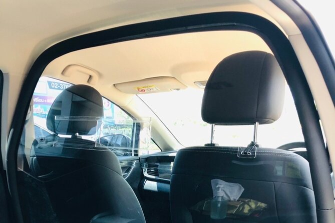 Green Ride: 100% Electric Bangkok Airport Transfer - Who should book this electric transfer in Bangkok