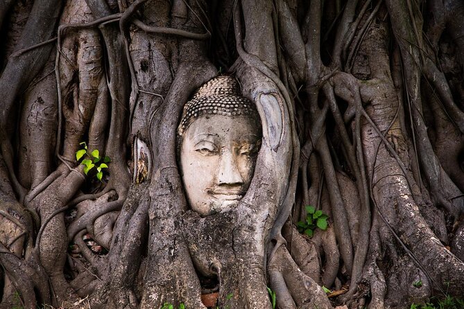 Half-Day Ayutthaya Sunset Bicycle Excursion - Key highlights to look for before you ride
