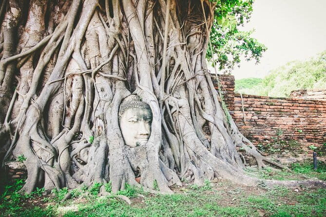 Heritage Tour in Ayutthaya by Cruise - Wat Mahathat: the Bodhi tree Buddha head moment