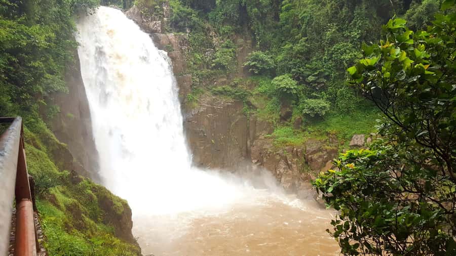 Khao Yai National Park: 2-Day Private Tour from Bangkok - Elephant salt-lick stakeout: the evening magic, with patience
