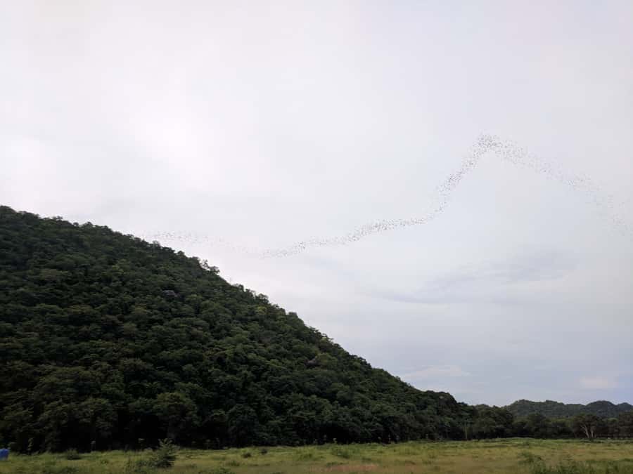 Khao Yai National Park: 2-Day Private Tour from Bangkok - Bangkok to Khao Yai: the 3-hour transfer that sets the pace