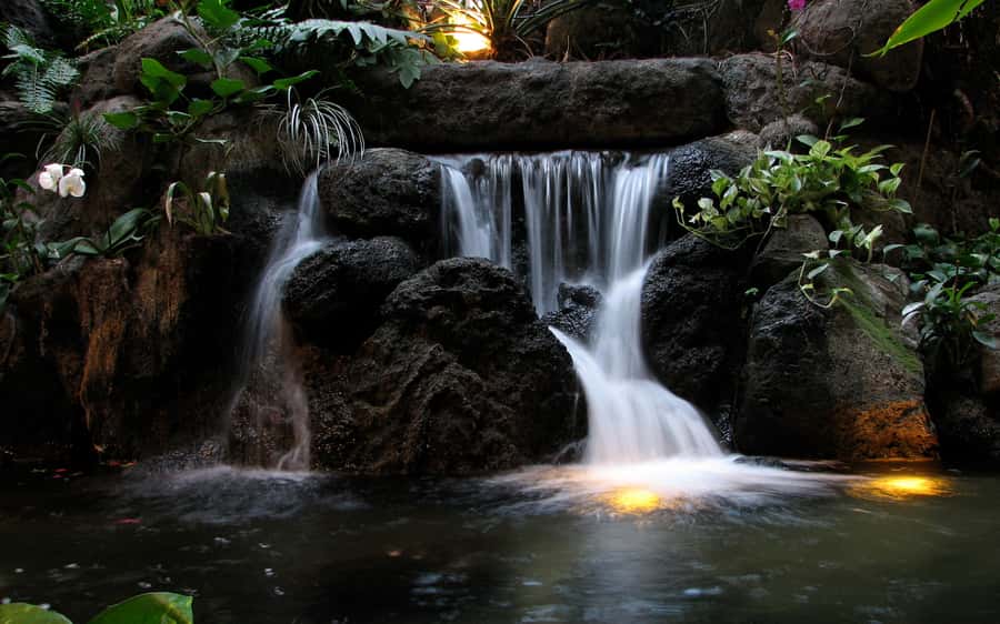 Khao Yai National Park: 2-Day Private Tour from Bangkok - Cave temple bats: the millions of wrinkle-lipped flyers