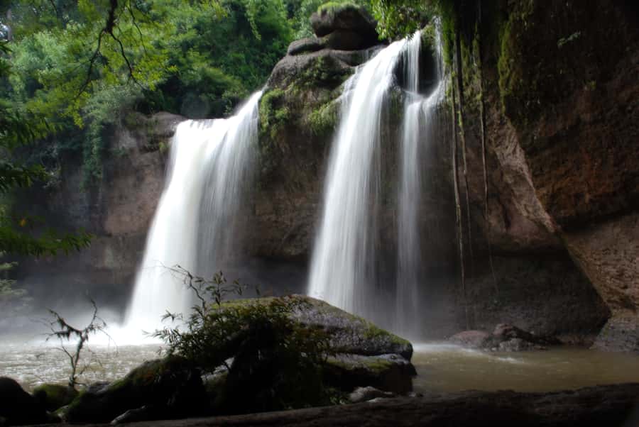 Khao Yai National Park: 2-Day Private Tour from Bangkok - Hiking through dry evergreen forest for gibbons, monkeys, and hornbills