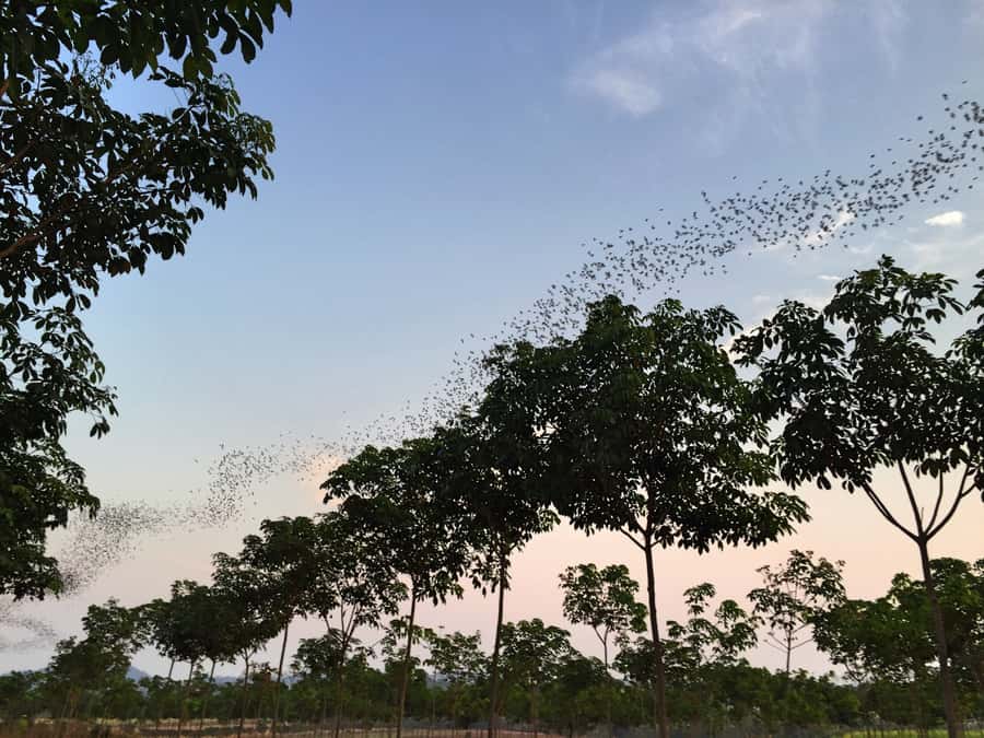 Khao Yai National Park: 2-Day Private Tour from Bangkok - Eco Valley Lodge and the small-group guide style