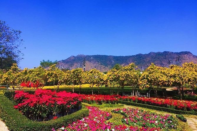 Khao Yai national Park day tour from Bangkok - Khao Yai National Park: what 6 hours lets you realistically do