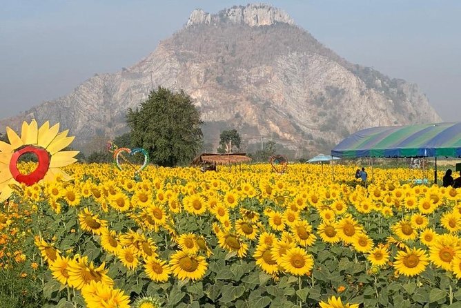 Khao Yai national Park day tour from Bangkok - Customizing your route, including a trail walk option