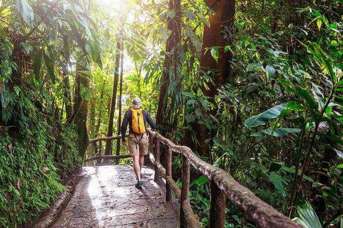 Khao Yai National Park Full-Day From Bangkok - Including Ticket - From Bangkok to Khao Yai: why this day trip actually works