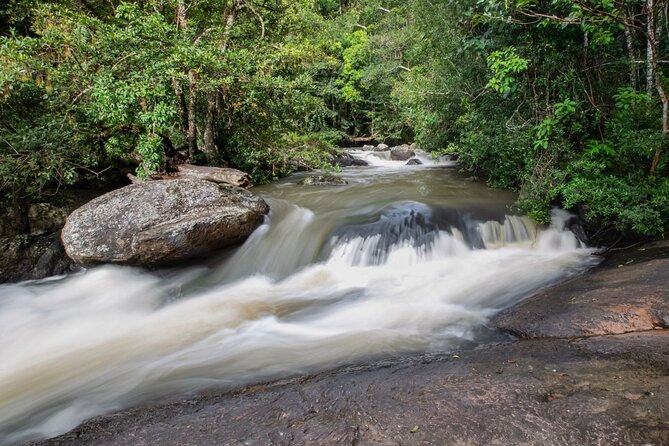 Khao Yai National Park Full-Day From Bangkok - Including Ticket - Khao Yai National Park walk: 3 to 4 km of real jungle time