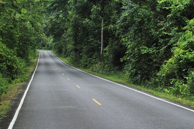Khao Yai National Park Full-Day From Bangkok - Including Ticket - Guides, pacing, and the small-group difference