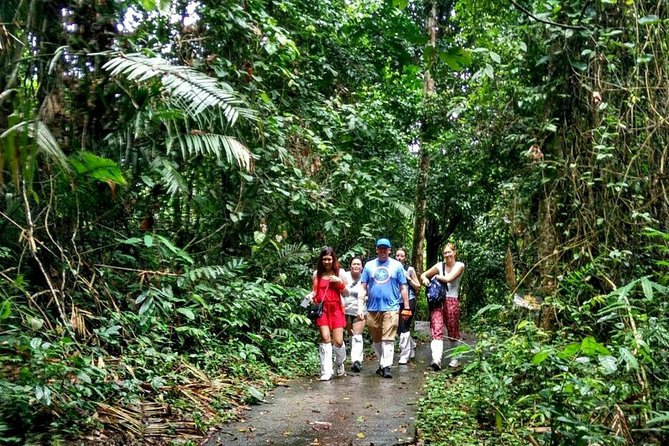 Khao Yai National Park Hiking Day Tour: Haew Narok and Haew Suwat - Haew Suwat waterfall stop, shaded rests and movie-famous rocks