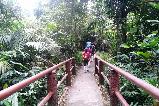 Khao Yai National Park Hiking Day Tour: Haew Narok and Haew Suwat - KM 30 viewpoint on Thanarat Road for a final panoramic payoff