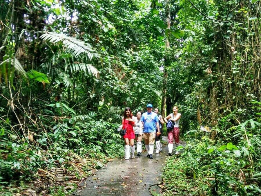 Khao Yai National Park: Waterfalls - Heaw narok & Heaw Suwat - Bangkok to Khao Yai Waterfalls: the morning plan that actually works