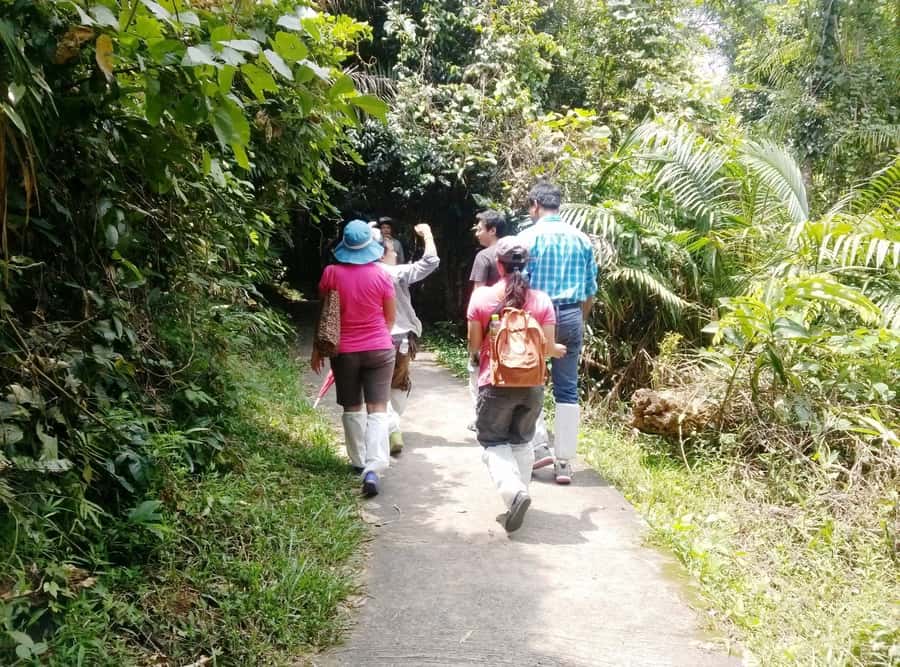 Khao Yai National Park: Waterfalls - Heaw narok & Heaw Suwat - Haew Narok hike: Khao Yai’s largest 3-tier cascade