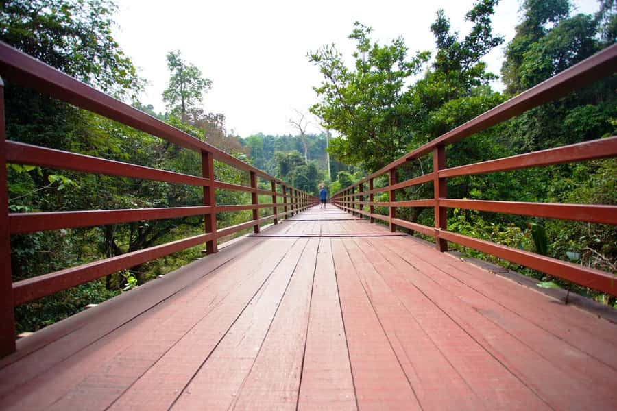 Khao Yai National Park: Waterfalls - Heaw narok & Heaw Suwat - Thai lunch that keeps you from crashing mid-afternoon