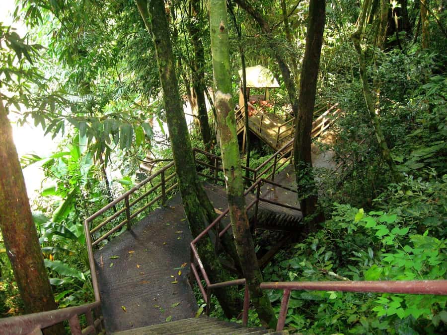 Khao Yai National Park: Waterfalls - Heaw narok & Heaw Suwat - Visitor centre and KM 30 viewpoint: finishing strong with context