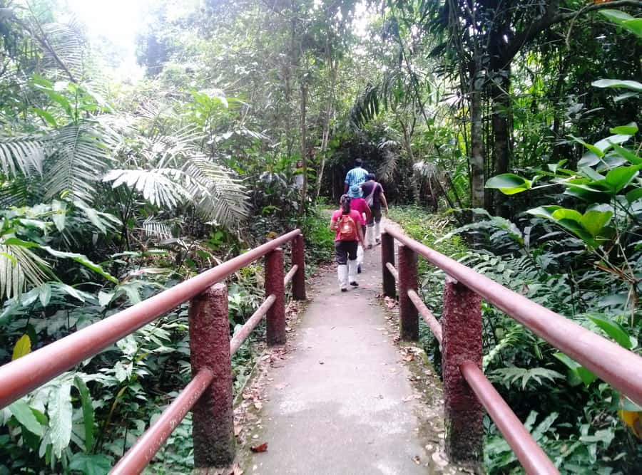 Khao Yai National Park: Waterfalls - Heaw narok & Heaw Suwat - What’s included, and how that affects your real cost