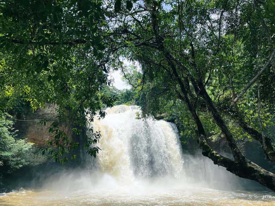 Khao Yai: Private Custom Tour with Driver From Bangkok - National Park time: waterfalls, viewpoints, and nature walks that make sense