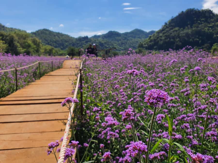 Khao Yai: Private Custom Tour with Driver From Bangkok - Chocolate Factory: the easy win stop that breaks up the day