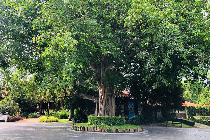Khao Yai Private tour from Bangkok - Lago di Khao Yai: garden shade and a coffee-style pause