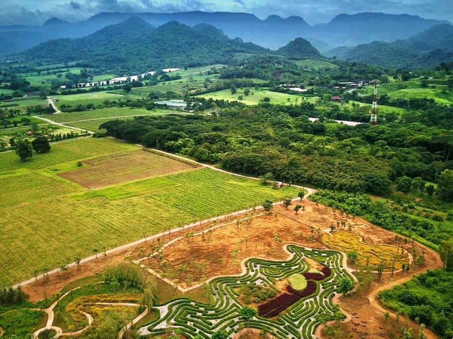 Khao Yai Vineyard Tasting Tour & Horse Farm Visit - The winery tour plus the small museum stop that adds context