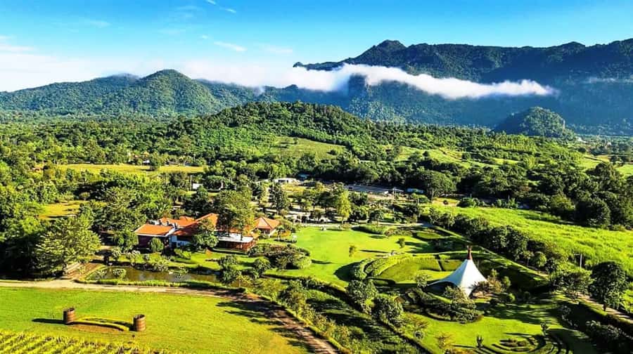 Khao Yai Vineyard Tasting Tour & Horse Farm Visit - PB Valley Khao Yai Winery: a tram ride through a working property