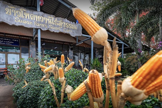 KhaoYai National Park 3D2N - Wildlife, photos, and seasonal expectations in Khao Yai