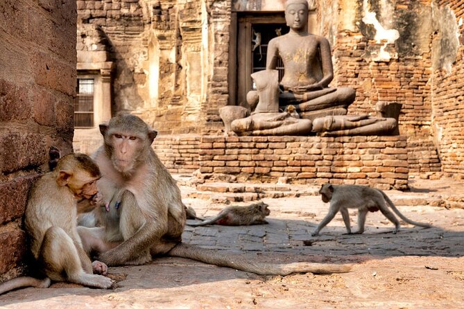 Lopburi Monkey Temple & Ayutthaya Old City Tour From Bangkok - A 10-hour day loop that actually works: Bangkok to Ayutthaya to Lopburi