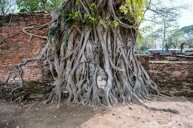 Private Ayutthaya Day Tour from Bangkok - Wat Yai Chaya Mongkol: an active temple, not just a ruin
