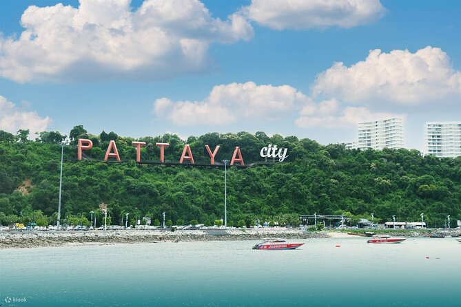 Private Shuttle SUV Bangkok From or To Pattaya - The pickup routine: what to expect at the meeting point