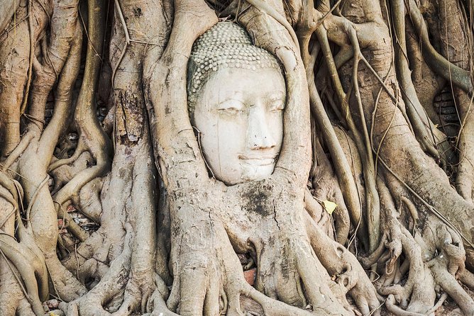 Private Tour: Ayutthaya Day Trip with Boat tour - Wiharn Phra Mongkhon Bophit: the big seated Buddha moment