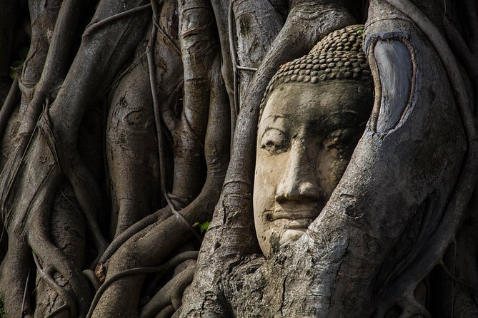 Private Tour : Ayutthaya Sightseeing by Coach return by Cruise - Wat Mahathat: the famous Buddha head and the Bodhi Tree connection