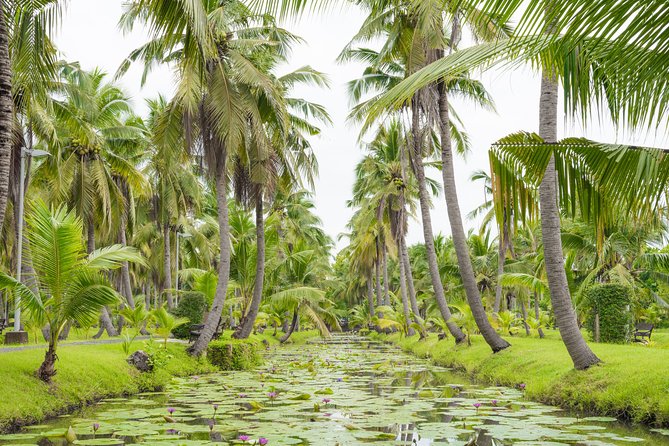 Private Tour: Floating Markets and Suan Sampran Day Trip from Bangkok - Rice pounding, umbrella painting, Muay Thai, and sword fighting
