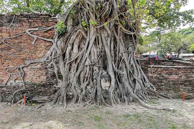 Private tour to Ayutthaya and Lopburi Monkey Temple (from Bangkok) - Viharn Phra Mongkol Bopit and the Large Bronze Buddha Moment
