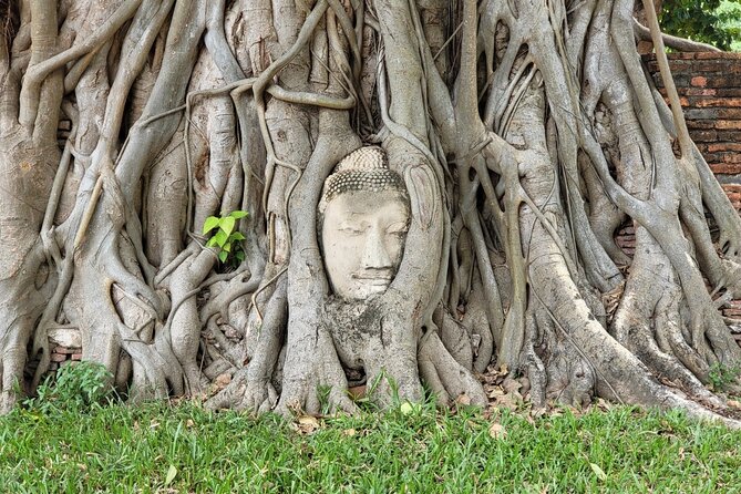 Private Tour to Ayutthaya, World Heritage Site with Boat Tour - Temple Stop 3: Wat Mahathat and the Bodhi tree roots