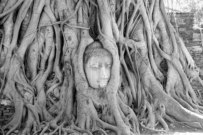 Private Trip : Ayutthaya historical venture, boat ride & lunch - A private Ayutthaya day built around real variety