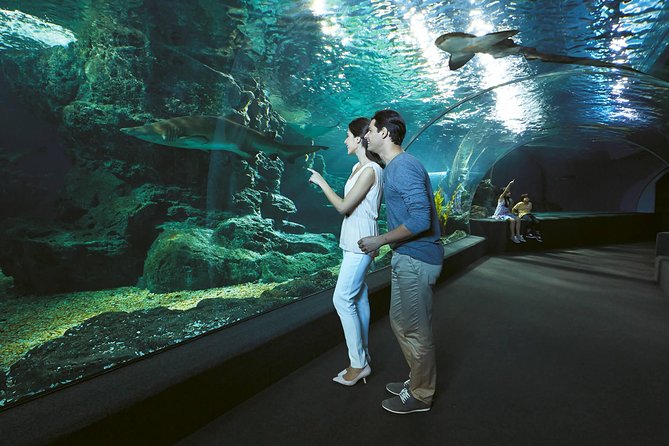 SEA LIFE & Madame Tussauds: Ultimate Bangkok Combo Ticket - Ticket Value and What You Actually Get for $55.12