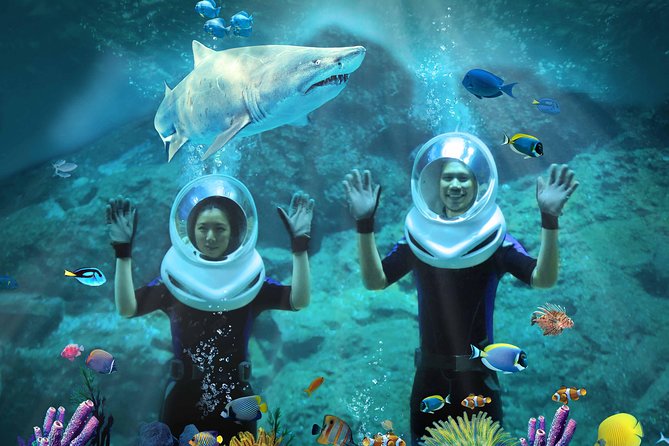SEA LIFE & Madame Tussauds: Ultimate Bangkok Combo Ticket - Who This Combo Suits Best