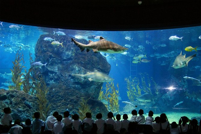 SEA LIFE & Madame Tussauds: Ultimate Bangkok Combo Ticket - Madame Tussauds Bangkok in Siam Discovery: Photo Fun With Wax Stars